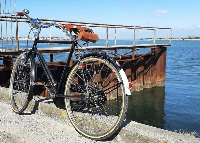 Love' In - Blanc Appartement Aveiro